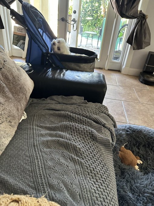 That look 👀 lol I can’t. https://t.co/EbSPSlIwT0